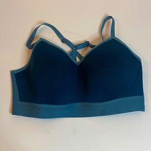Nike Sports Bra (Size Large)